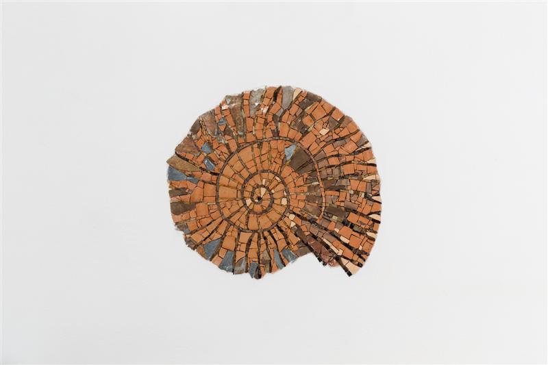 11-detalle-amonita-casa-tierra