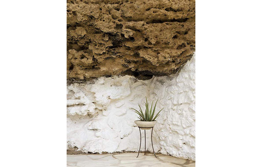 14-detalle-aloe-casa-tierra