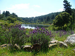 Randonnée á le Natural Park Hornachuelos (à 30 km) - Espagnol